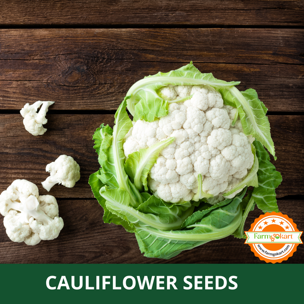 CAULI FLOWER -Pack of 100 Seeds