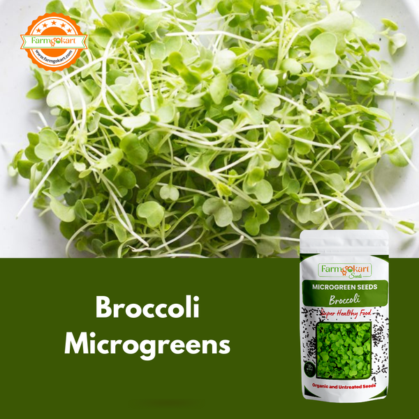 Broccoli Green Microgreen  - 25 Gms Seeds