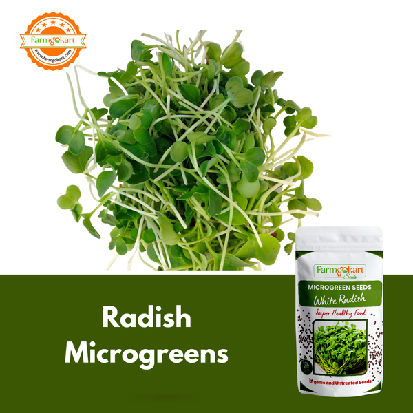 White Radish Microgreen  - 25 Gms Seeds