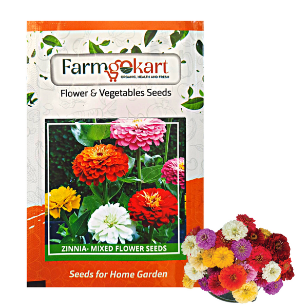 Zinnia - Dahlia Fld Mix Grower Seeds Pack - 10 Gms