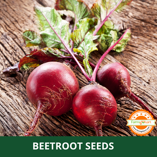 BEET ROOT -Pack of 250 Seeds