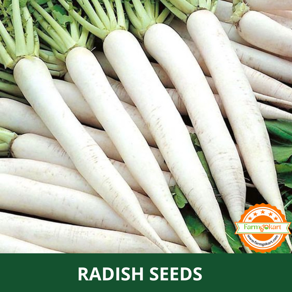 RADISH -Pack of 5 Gms Seeds