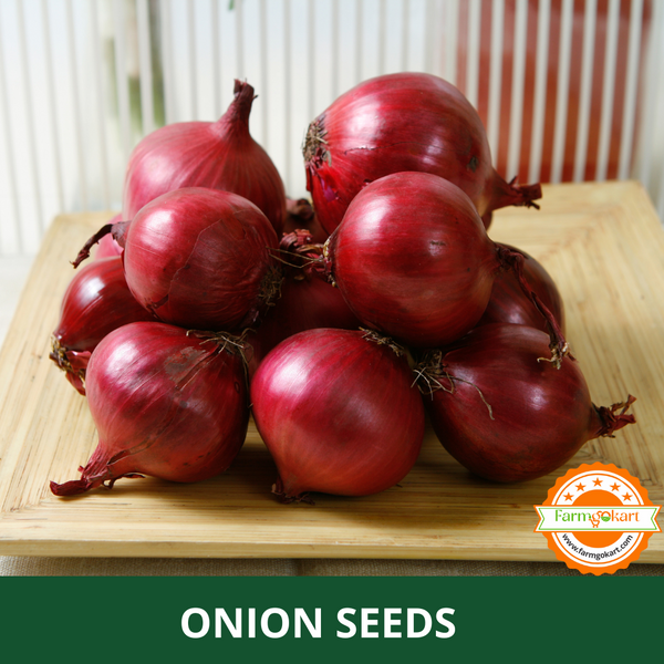 ONION -Pack of 500 Seeds