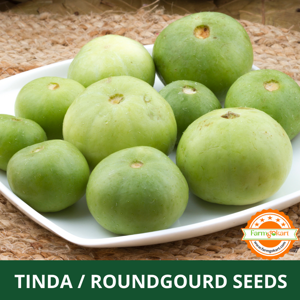 INDIAN ROUND TINDA -Pack of 5 Gms Seeds