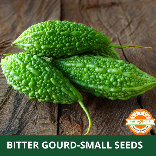 BITTER GOURD  SMALL F1 HYBRID -Pack of 10 Seeds