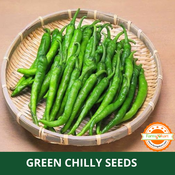 GREEN CHILLI -Pack of 400 Seeds