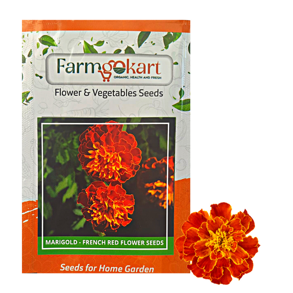 Marigold French - Red Brocade Grower Seeds Pack - 1000 Seeds