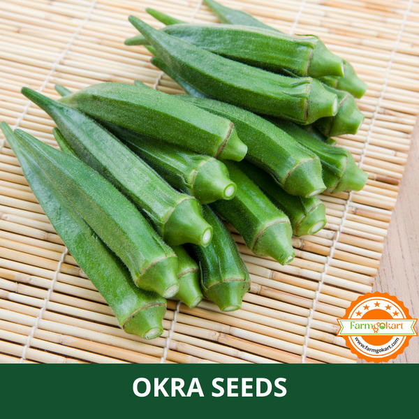 OKRA  -Pack of 10 Gms Seeds