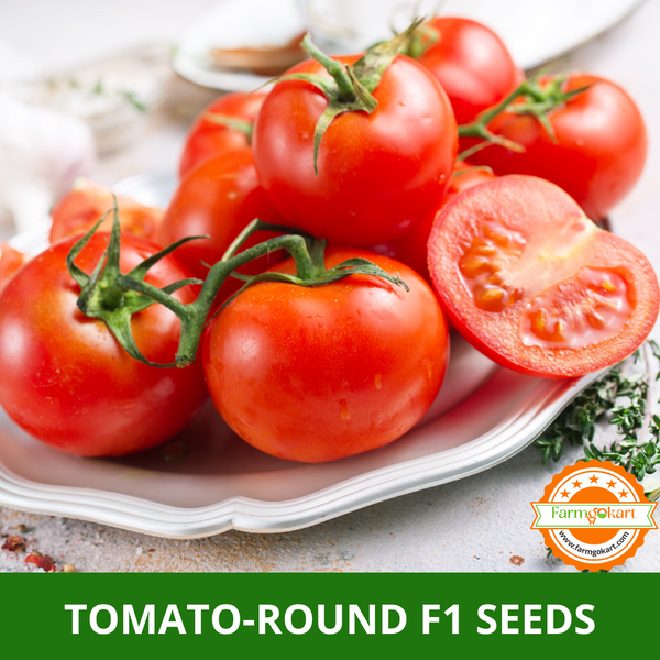 TOMATO-ROUND F1 HYBRID -Pack of 50 Seeds