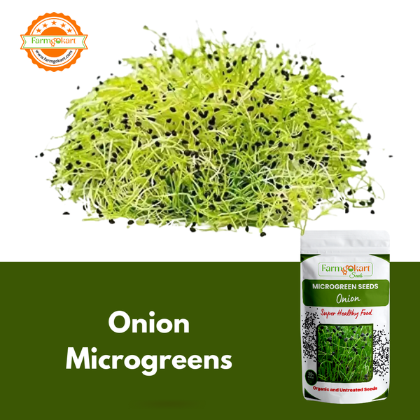 Onion Microgreen  - 25 Gms Seeds