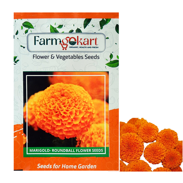 Marigold - Orange Roundball Grower Seeds Pack - 1000 Seeds