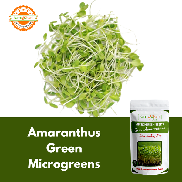 Amaranthus Green Microgreen  - 50 Gms Seeds