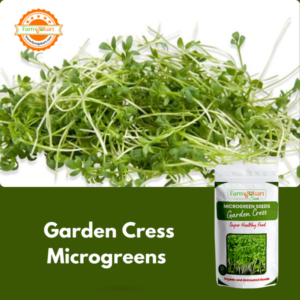 Garden Cress Microgreen  - 25 Gms Seeds