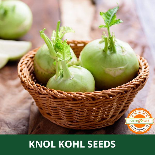 KNOL KHOL -Pack of 600 Seeds