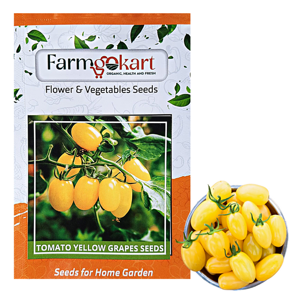 YELLOW CHERRY TOMATO  GROWER SEEDS PACK