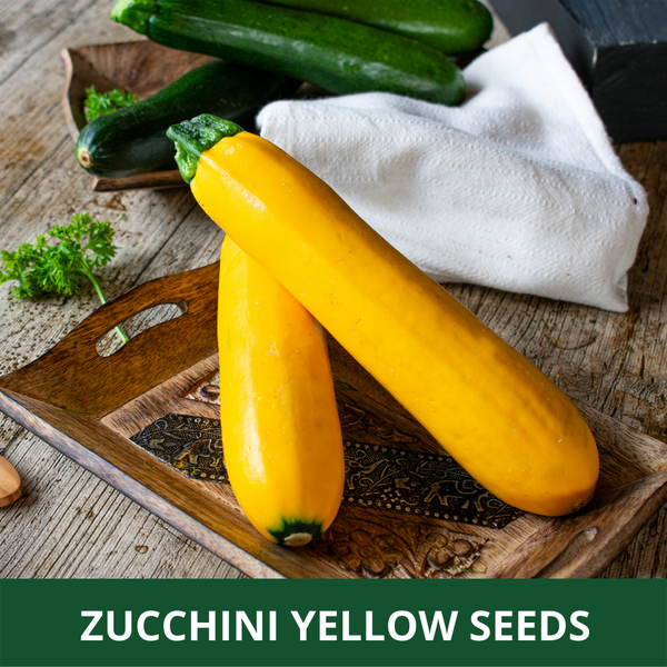 YELLOW ZUCCHINI  - Pack of 10 Seeds