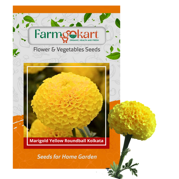 Marigold - Yellow Roundball Grower Seeds Pack - 1000 Seeds