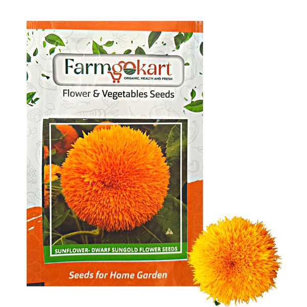 Sunflower Dwarf Grower Seeds Pack - 10 Gms