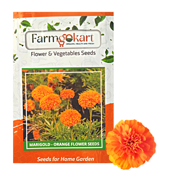 Marigold - African Orange Grower Seeds Pack - 1000 Seeds