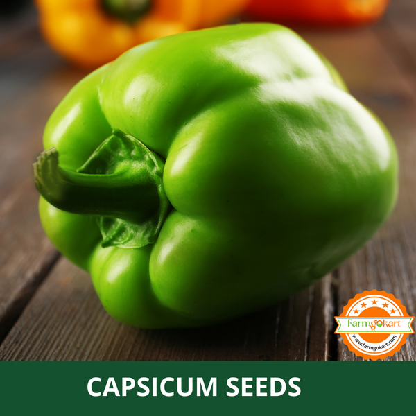 CAPSICUM GREEN  -Pack of 25 Seeds