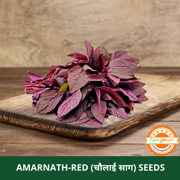 AMARANTHUS - RED -Pack of 10 Gms Seeds