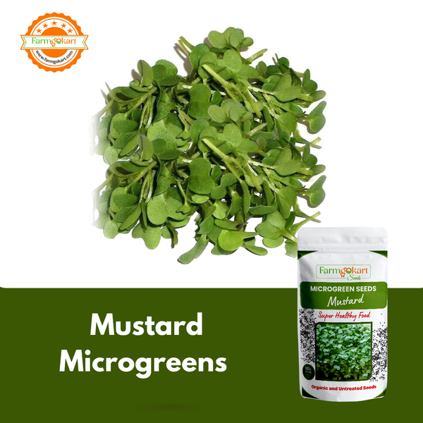 Mustard Microgreen  - 25 Gms Seeds