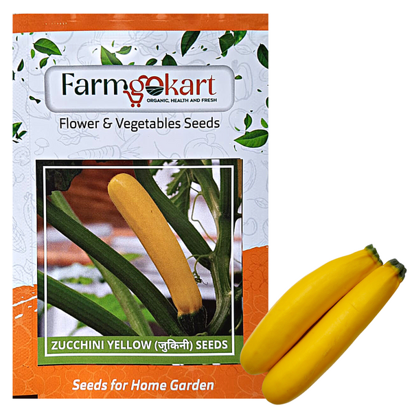 YELLOW ZUCCHINI GROWER SEEDS PACK