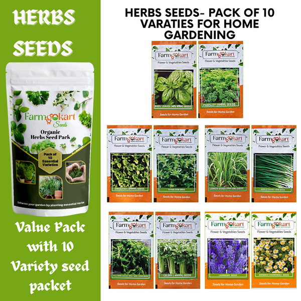 Pack  of 10-variety Essentail Herbs Seeds combo pack for Home Gardening | Grow your own Herbs