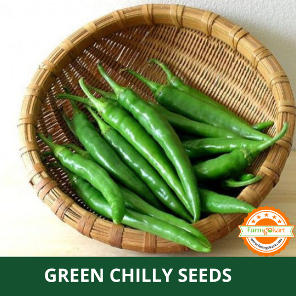 GREEN CHILLI F1 HYBRID -Pack of 50 Seeds