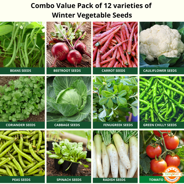 Winter Season Value pack of 12 Varaties vegetable seeds (appx 4000 Seeds)