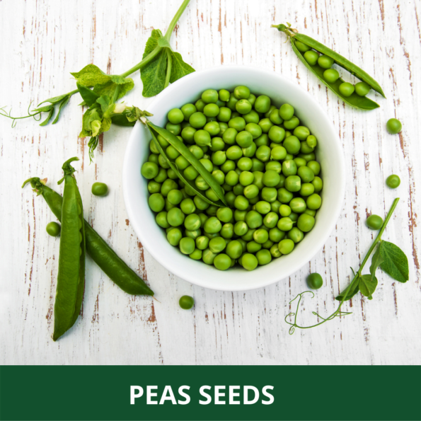 Peas Seeds