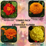 flower combo (4)