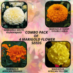 flower combo (5)