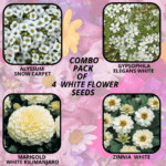 flower combo (8)