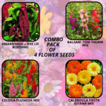 flower combo (9)