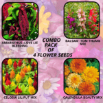flower combo (10)