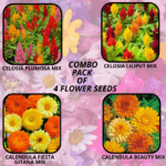 flower combo (11)