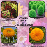flower combo (12)