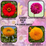 flower combo (15)