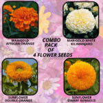 flower combo (19)