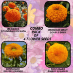 flower combo (20)