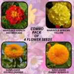 flower combo (21)
