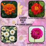 flower combo (22)