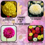 flower combo (24)