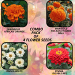 flower combo (25)