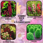 flower combo (16)