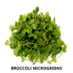 broccoli mg (1)