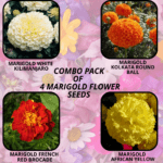 flower combo (6)