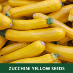 zucchini yellow (1)