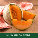 muck melon (1)